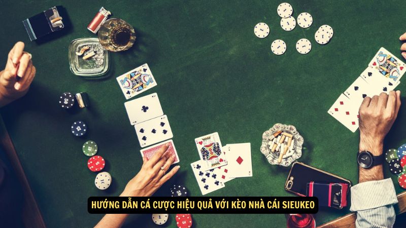 Kèo Nhà Cái Sieukeo: Tỷ Lệ Kèo, Nhận Xét 7 Hướng dẫn cá cược hiệu quả với kèo nhà cái sieukeo